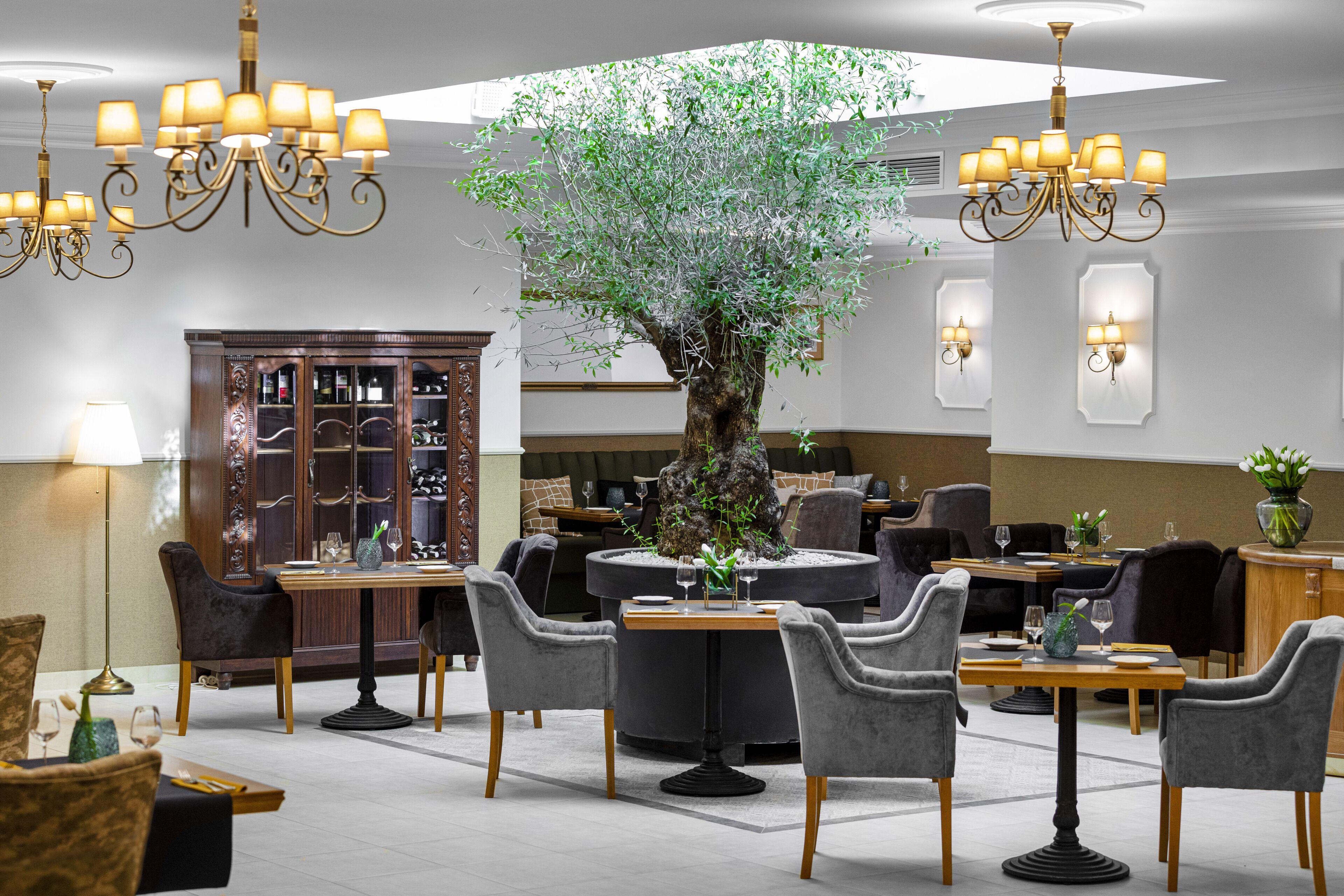 Ventus Rosa Boutique Aparthotel — Foto 1
